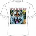 Tigre